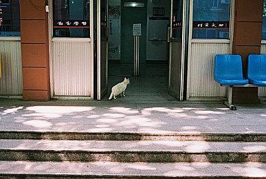 心痒难耐 《战地6》公开测试现已可供预载！